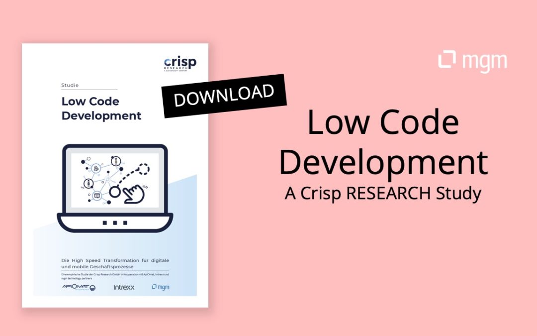 Low Code Development – Recommendations for planning and implementation